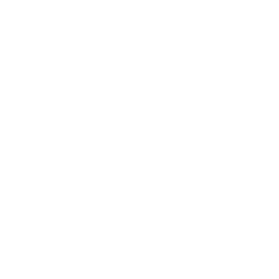 ce logo Taylorsville